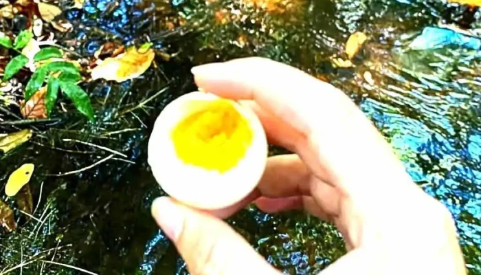 Suoi Nuoc Nong Ham Thuan Nam Cua Khach Tro - Bình Thuận