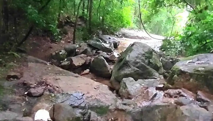 Suoi O Ta Soc Video - An Giang