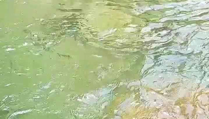 Suoi Tap Lang Video - Yên Bái