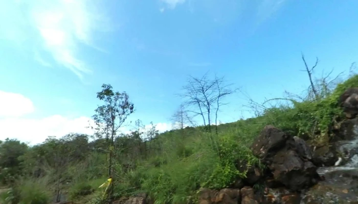 Suoi Truc Che Do Xem Pho Va 360deg - Bình Dương