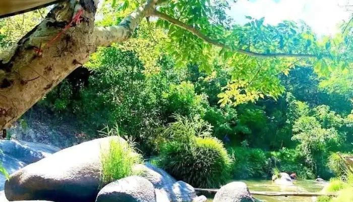 Suối Mơ Dốc Tình Glamping & Retreat Ninh Thượng Ninh Hoà Khánh Hoà - Khánh Hòa