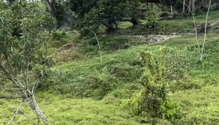 Suối nước nóng thạch bích - Unnamed Road