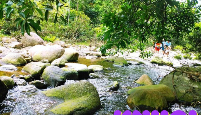Suối Nước Vàng garden - Lục Sơn