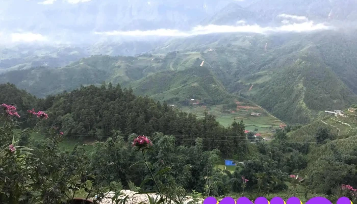 Suối Vàng Thác Tình Yêu - Sơn Bình