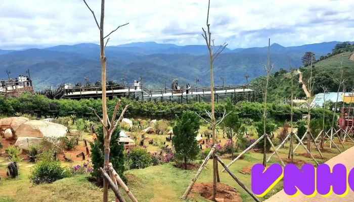Săn mây Panorama Cầu Đất - Cầu Đất