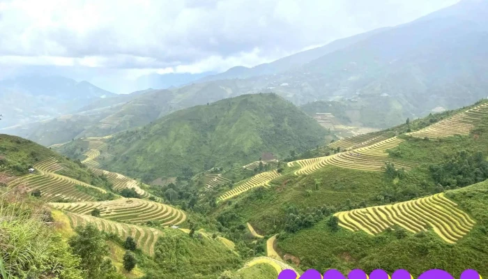 Ta Xua Nature Reserve -  Tat Ca - Sơn La