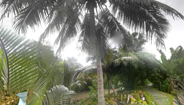 Tam Binh Che Do Xem Pho Va 360deg - Vĩnh Long