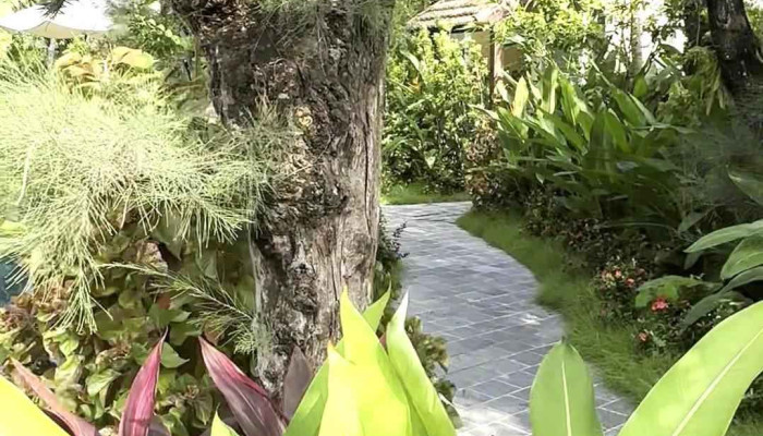 Tam Coc Retreat Ninh Binh Video - Ninh Bình