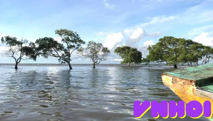 Tan Dien Beach -  Video - Tiền Giang