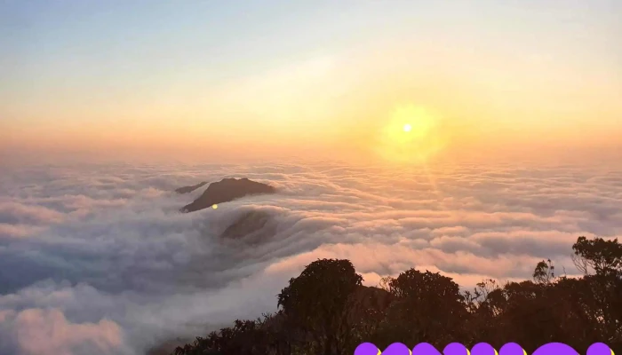 Tay Con Linh Tat Ca - Hà Giang