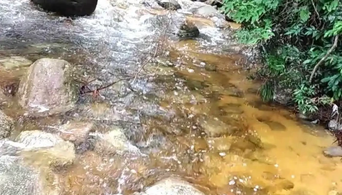Thac Ba Tia Video - Bắc Giang