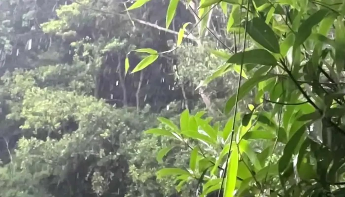 Thac Do Quyen Video - Thành Phố Huế