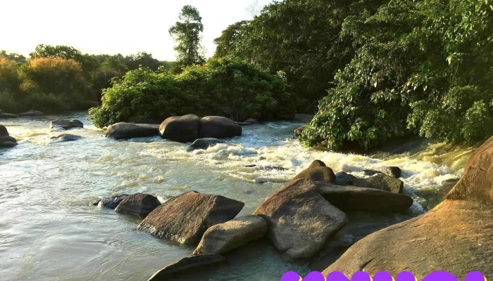 Thac Mai Tat Ca - Đồng Nai