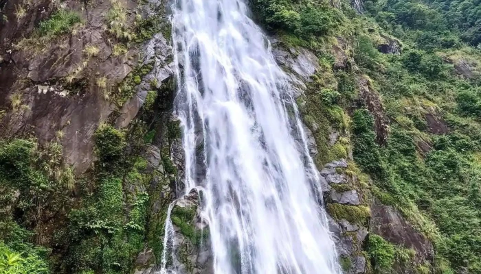 Thác Tác Tình - Tam Đường