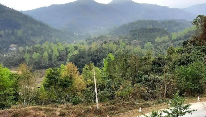 Thach An Nui - Cao Bằng