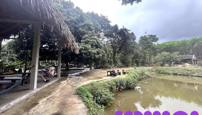 The Duck Tang Farm Quang Binh - Hưng Trạch