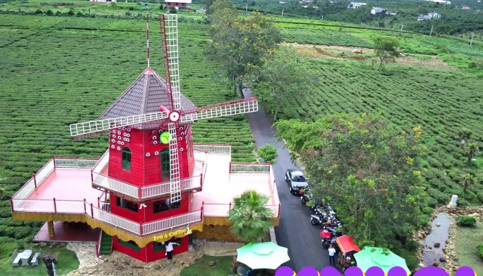 The Ocha Villas - Tt. Lộc Thắng