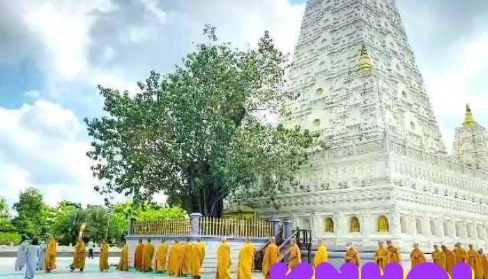 Thien Vien Truc Lam Chanh Giac Video - Tiền Giang