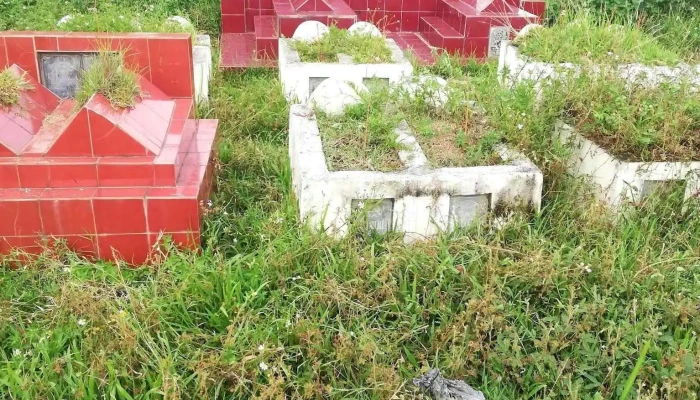 Thieu Hoa Tat Ca - Thanh Hóa