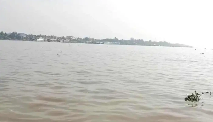 Thoi Son Video - Tiền Giang