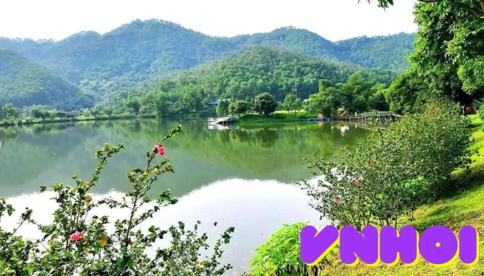 Thung Lung Ban Xoi Cua Chu So Huu - Hà Nội