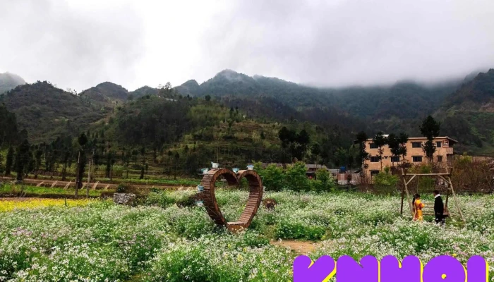 Thung Lung Sung La Nui - Hà Giang