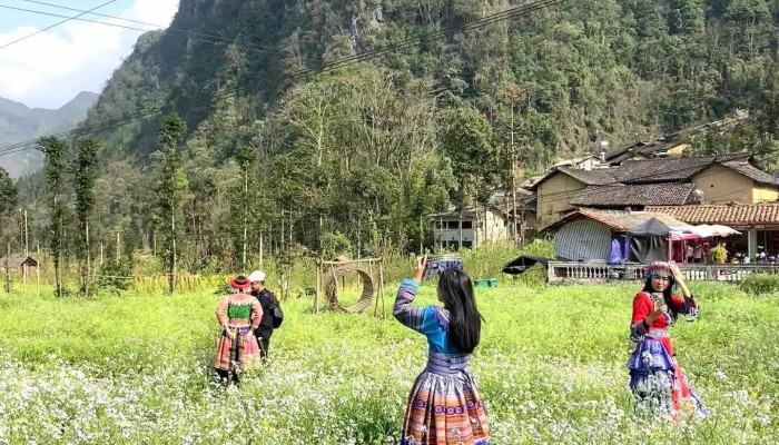 Thung Lung Sung La Video - Hà Giang