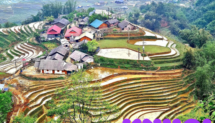 Thung Lũng Mường Hoa - Sa Pa