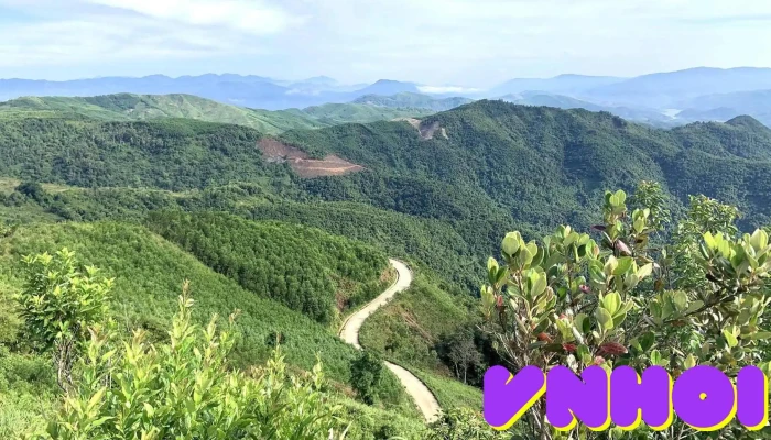 Thảo Nguyên Bùi Hui Ba Tơ - Quảng Ngãi (green Camp) - Ba Tơ