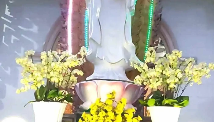 To Dinh Sac Tu Giac Nguyen Cua Chu So Huu - Lâm Đồng