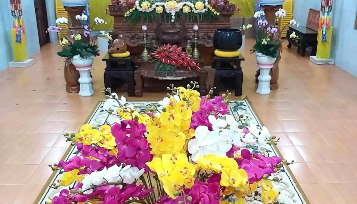 To Dinh Sac Tu Giac Nguyen Tat Ca - Lâm Đồng