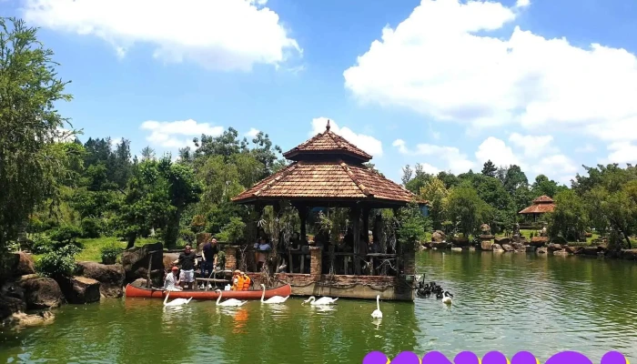 Ton Garden - Vĩnh Cửu