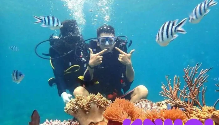 Tour 4 Dao Nha Trang Cua Chu So Huu - Khánh Hòa
