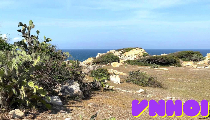 Tour Ninh Thuan Video - Ninh Thuận