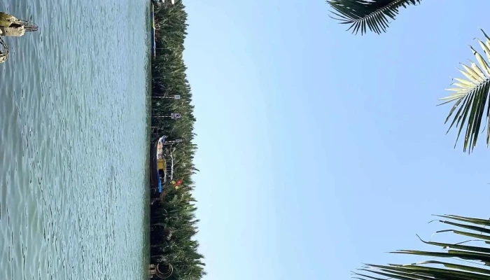 Tour Rung Dua Bay Mau   Kdl Rung Dua Bay Mau Hoi An Phat Huy Moi Nhat - Quảng Nam