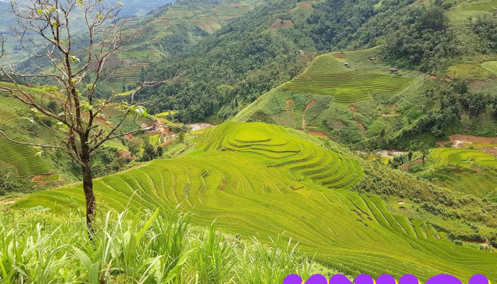 Tram Tau Tat Ca - Yên Bái