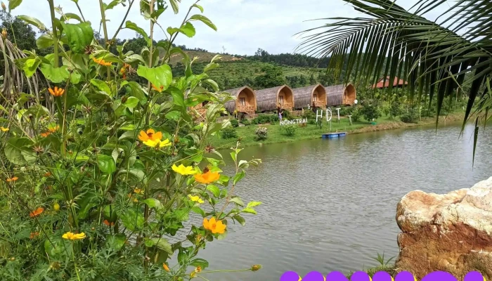 Trang Trai Hdt Ao - Nghệ An
