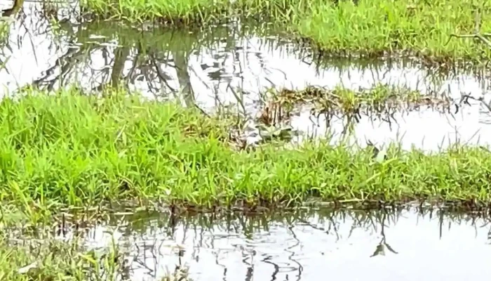 Trang Trai Loc Vung Video - Nghệ An