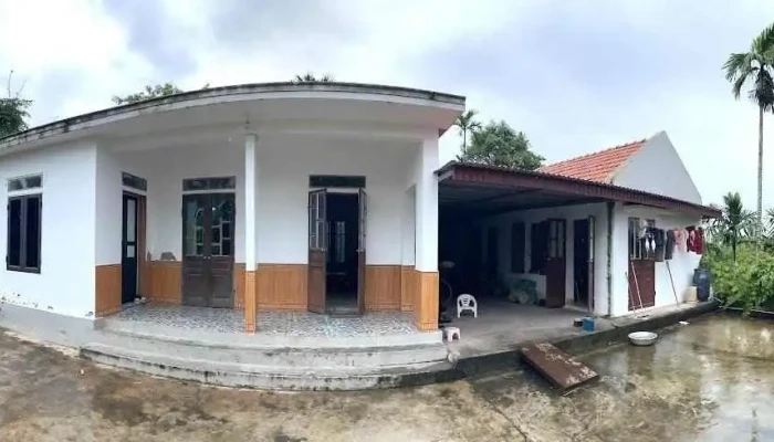Truc Ninh Nam Dinh Tat Ca - Nam Định