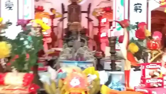 Truc Tuan Tat Ca - Nam Định
