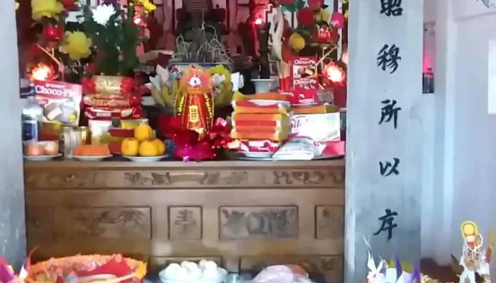 Truc Tuan Video - Nam Định