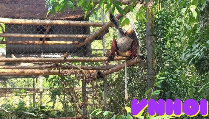 Trung Tam Cuu Ho Linh Truong Cuc Phuong Tat Ca - Ninh Bình