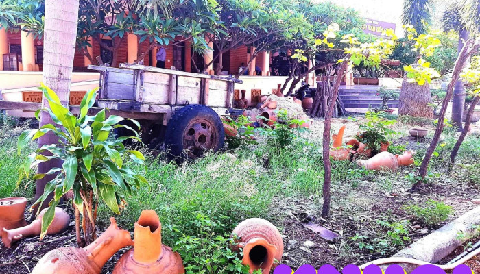 Trung Tam Nghien Cuu Van Hoa Cham   Phan Rang Moi Nhat - Ninh Thuận