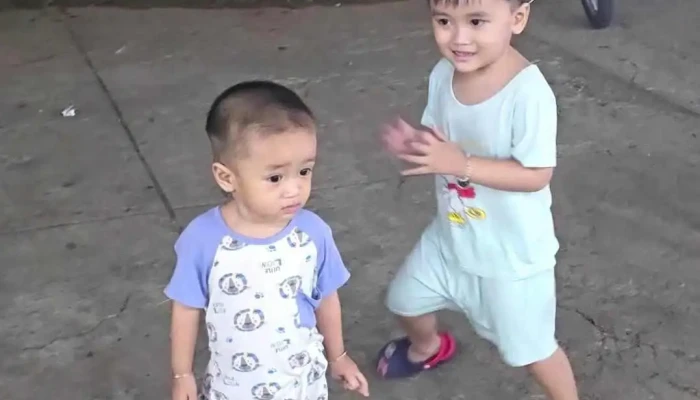 Trung Tam Van Hoa Huyen Cho Lach Video - Bến Tre