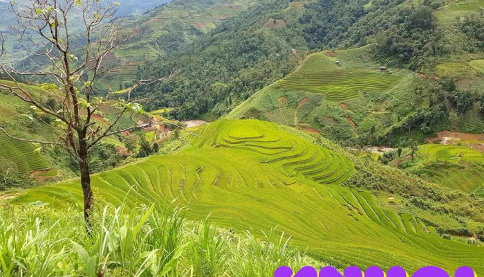 Trạm Tấu - Yên Bái