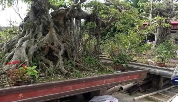 tt. Cồn - Nam Định