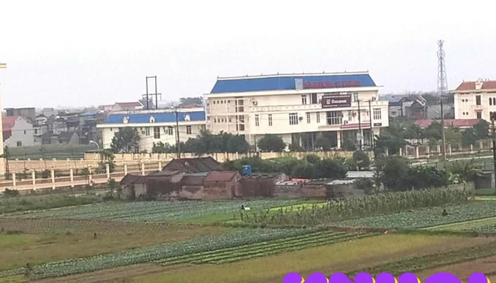 Tt Yen Ninh Tat Ca - Ninh Bình