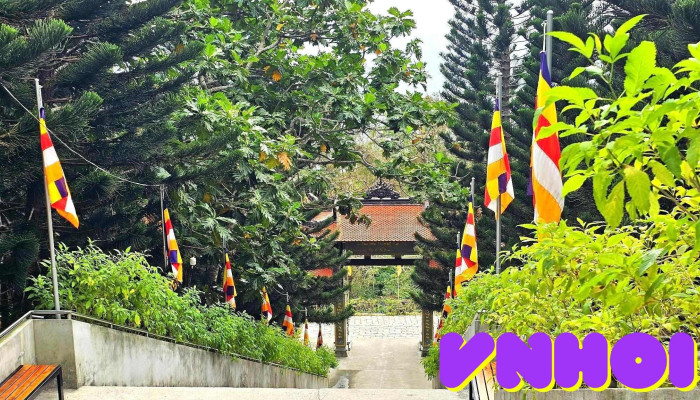 Ttc World Tacu Moi Nhat - Bình Thuận