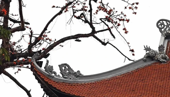 Tu Luong Xam Moi Nhat - Hải Phòng