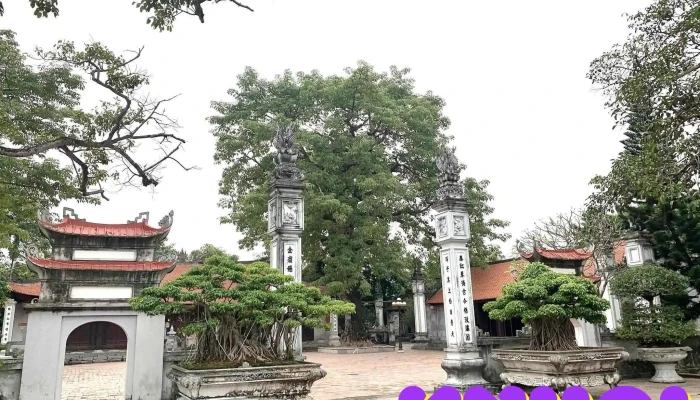 Tu Luong Xam Tat Ca - Hải Phòng